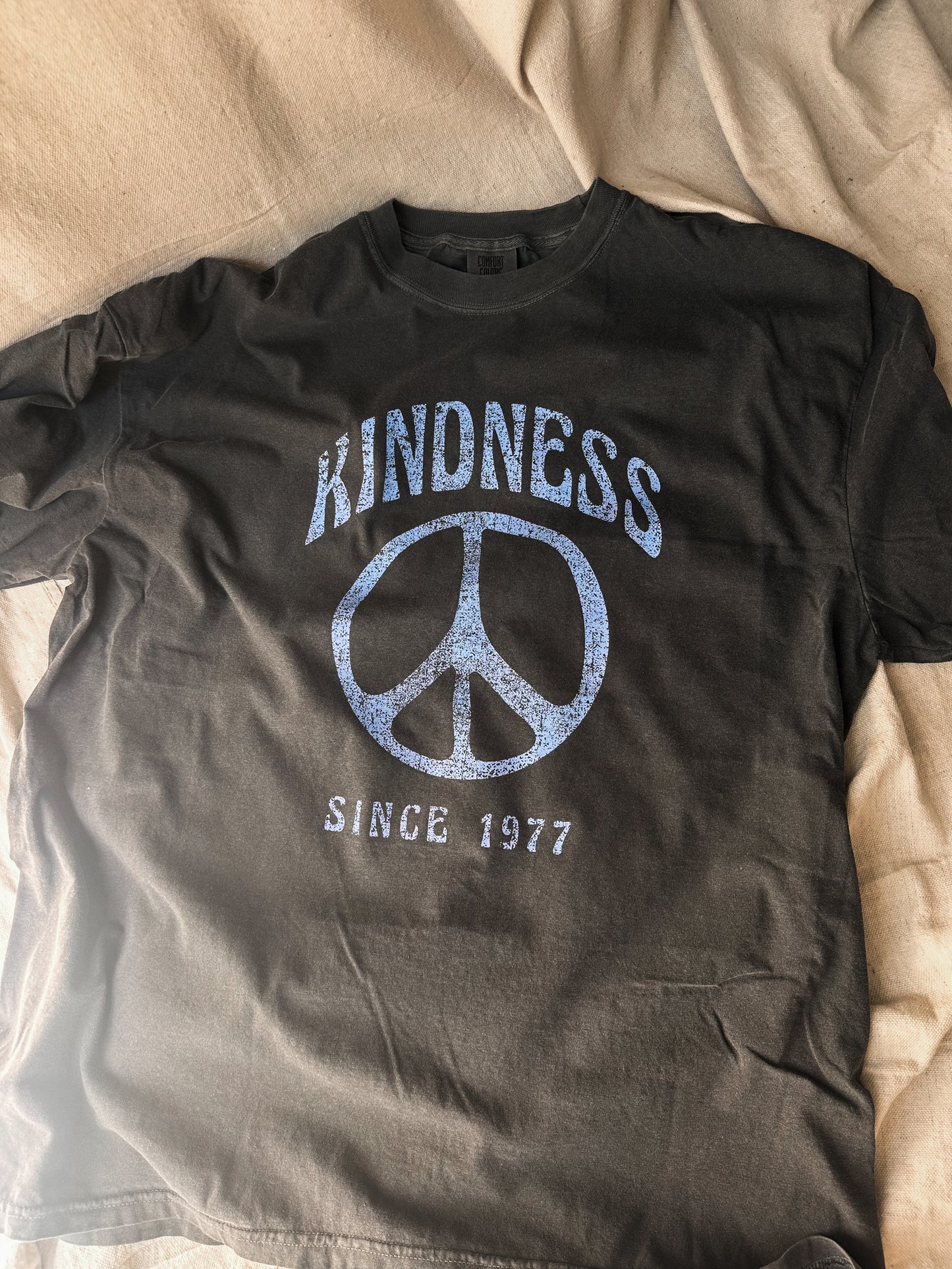 Kindness Since 1976 graphic Tee