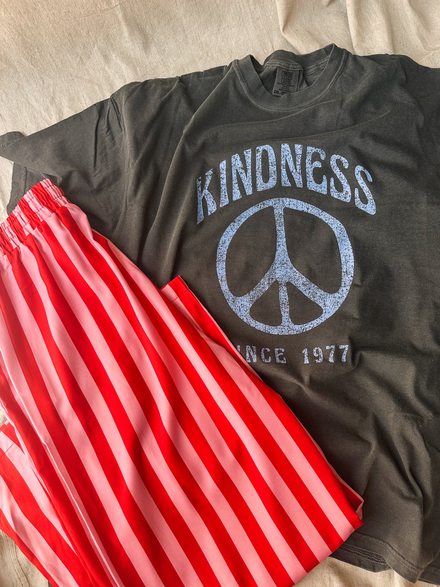Kindness Since 1976 graphic Tee