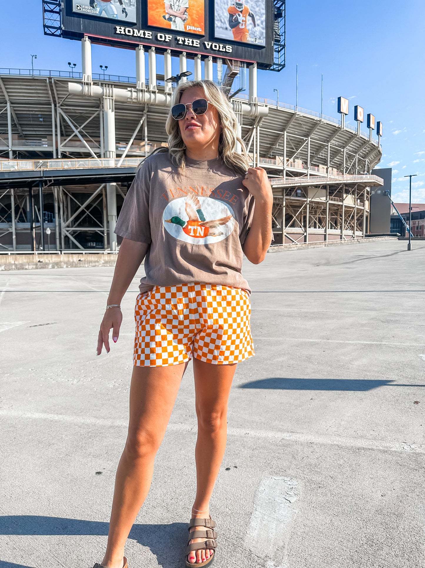 Tennessee Mallard - Brown Tee
